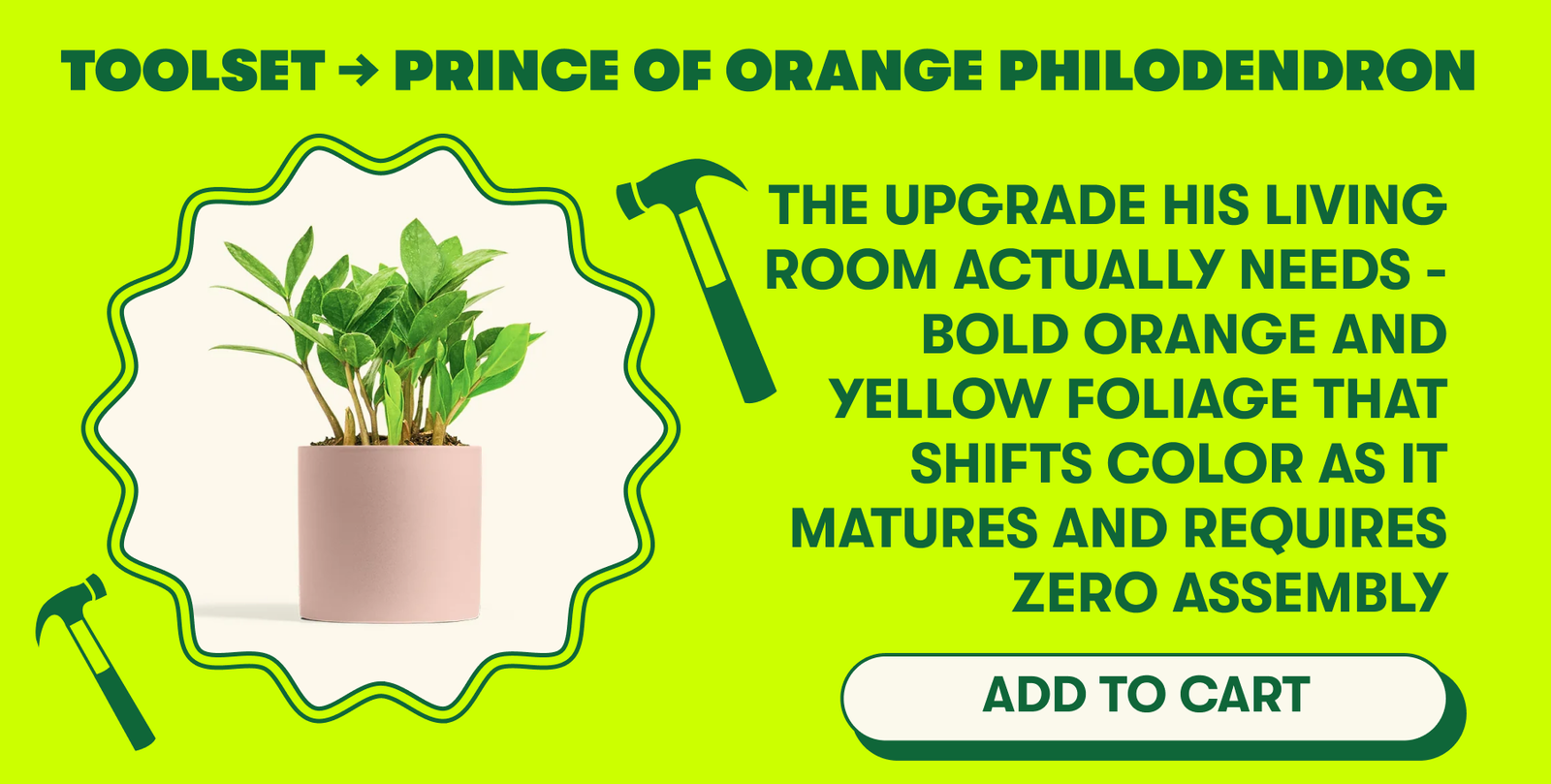 skip the cliches - here's the plant gift guide for every kind of Dad