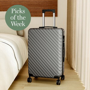 Livingandhome Lightweight Hardside Travel Suitcase With Spinner Wheels