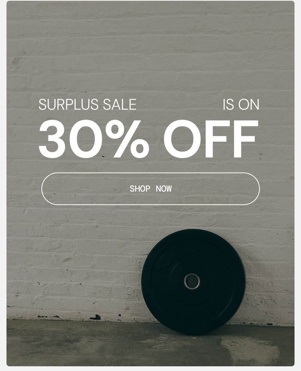 30% Off Surplus Sale
