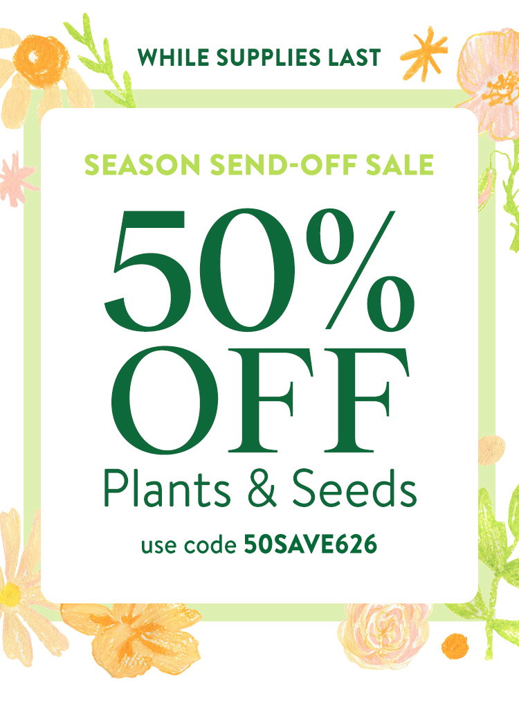 Last Call For Spring Plants