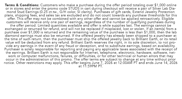 Promo Terms