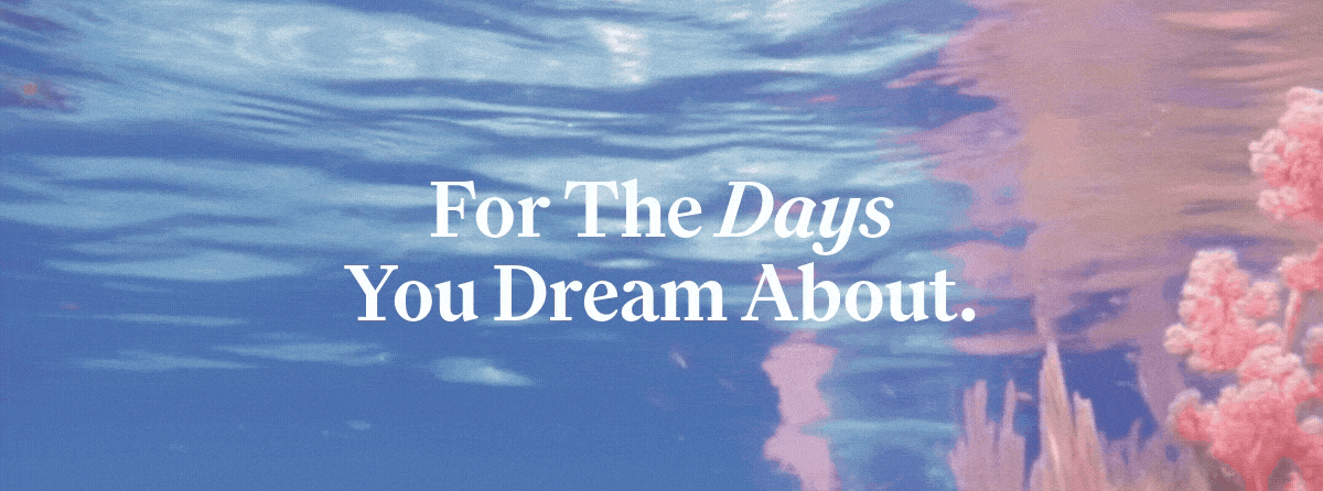 For the days you dream about