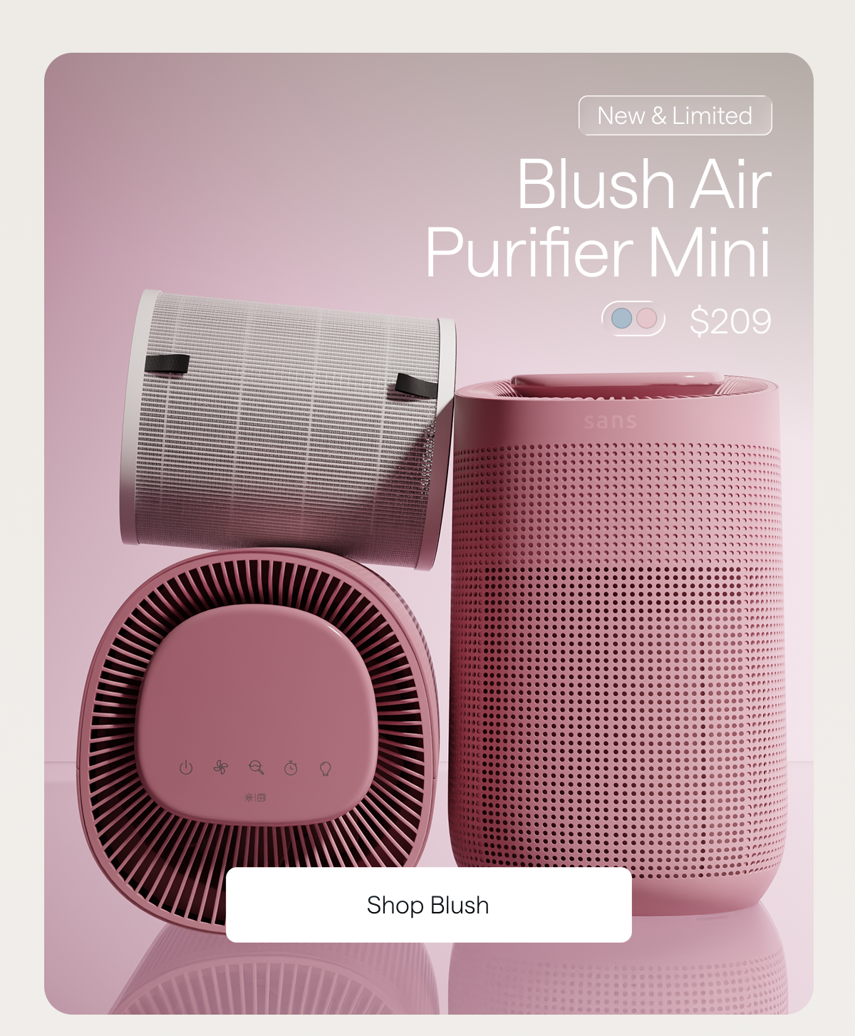 Blush Air Purifier Mini for $209. Shop Blush.