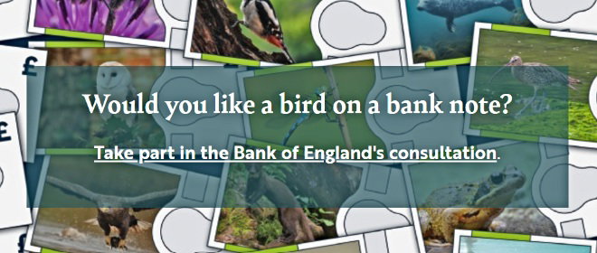 Bank note graphic