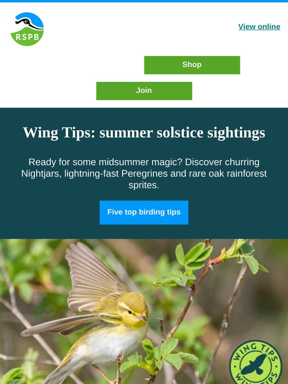 Nesting season! What to see in June