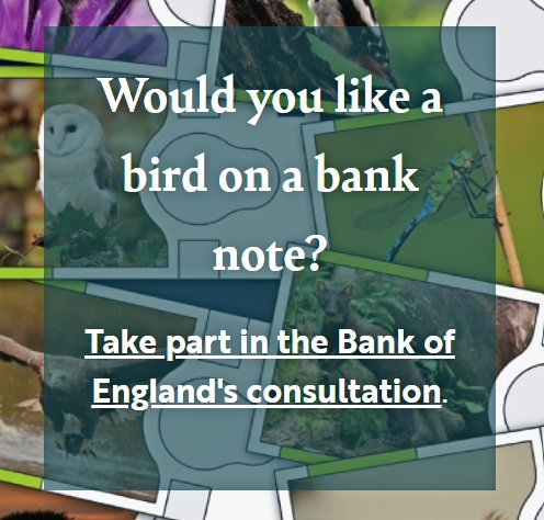 Bank note graphic