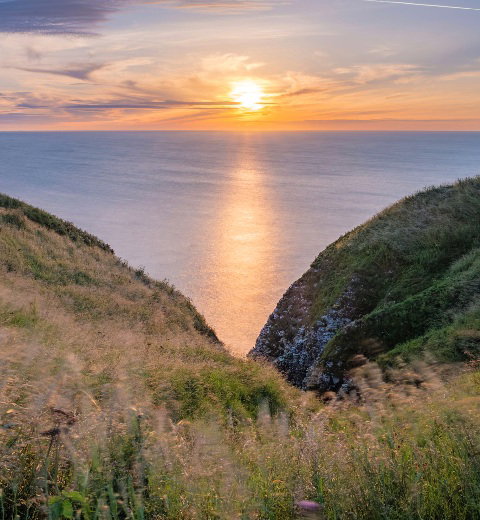 RSPB Bempton Cliffs at sunrise