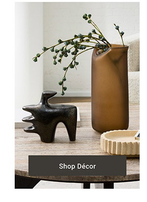 Shop Décor >