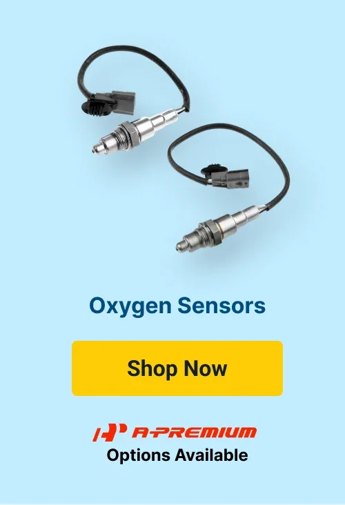 Oxygen Sensors