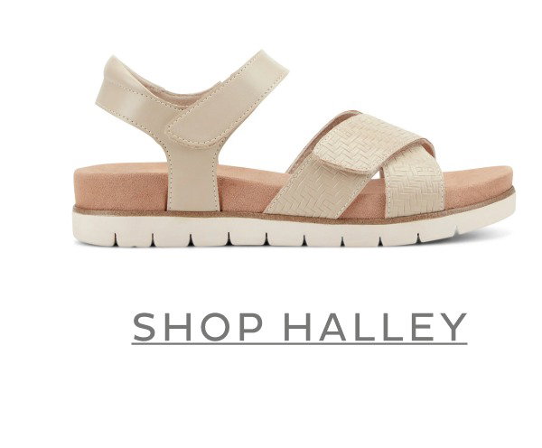 SHOP HALLEY