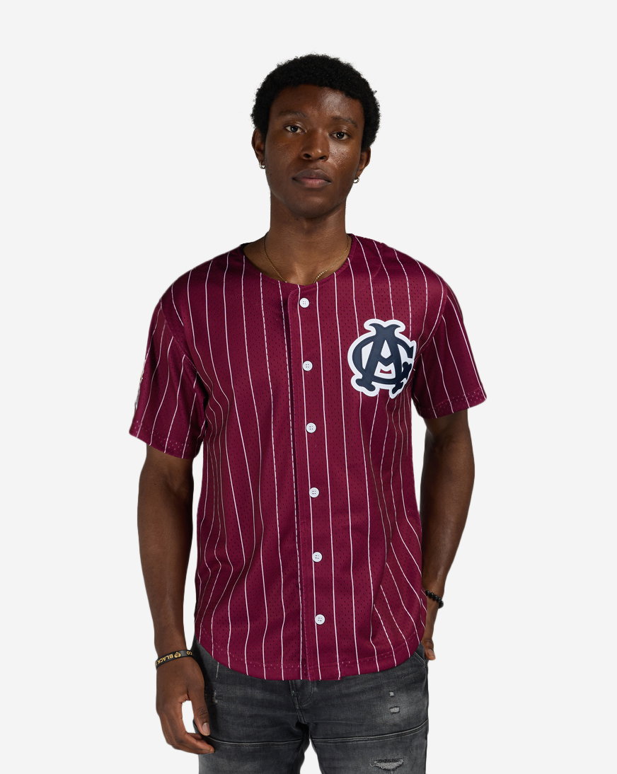 Chicago American Giants Luis Robert Jr. Authentic Batting Practice Pinstripes Jersey