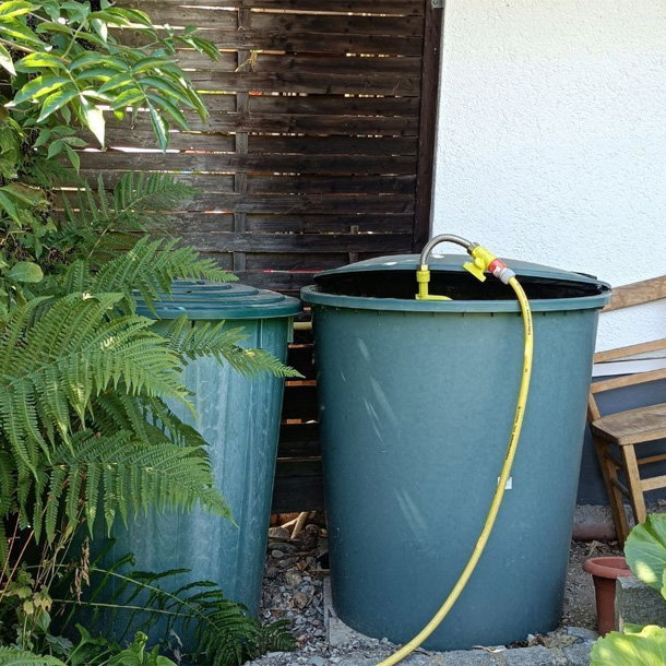 Bild Magazin / Ratgeber Regenwasser sammeln