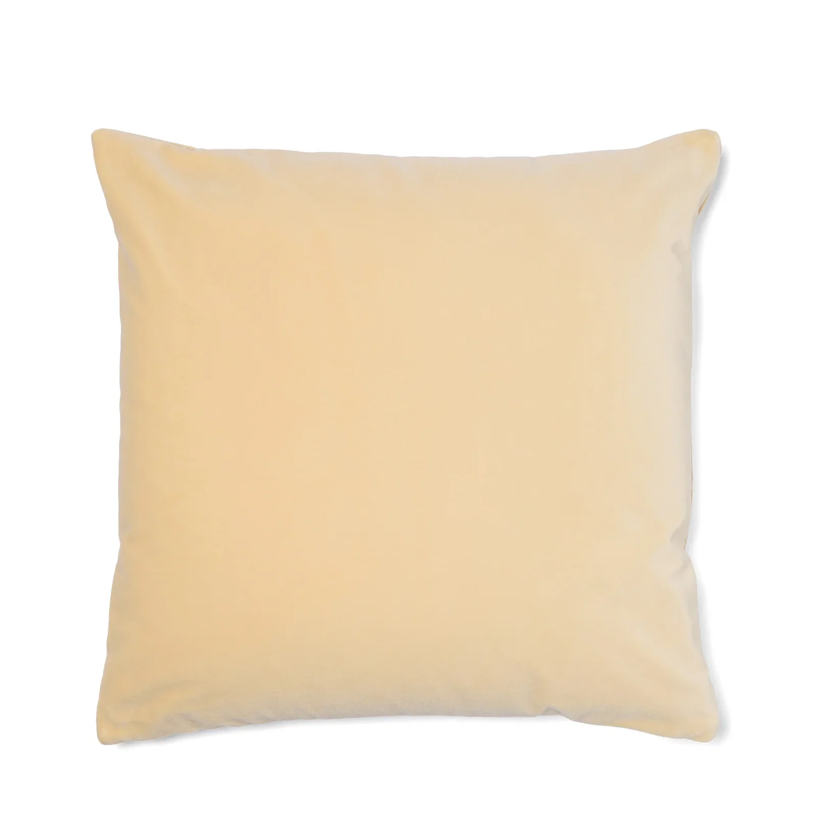 Image of Otto Cushion Duro Velvet Crema 59 x 59cm