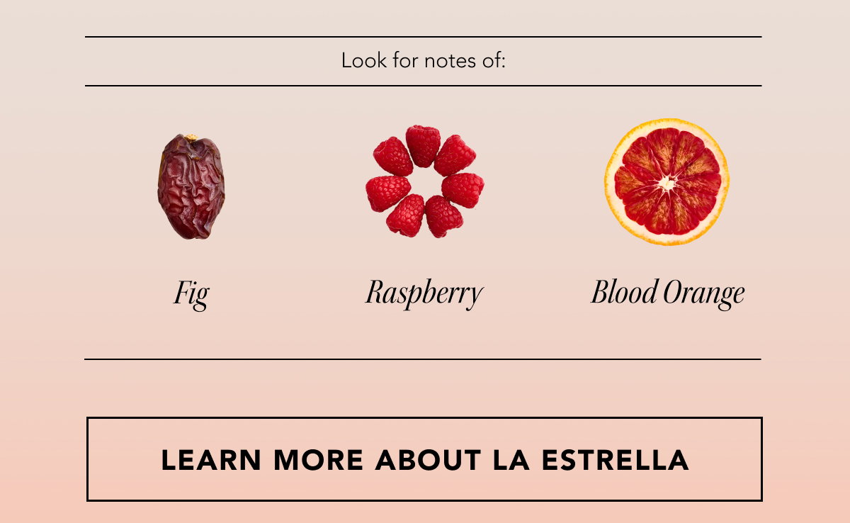 Look for notes of: Fig, Raspberry, Blood Orange | LEARN MORE ABOUT COLOMBIA LA ESTRELLA