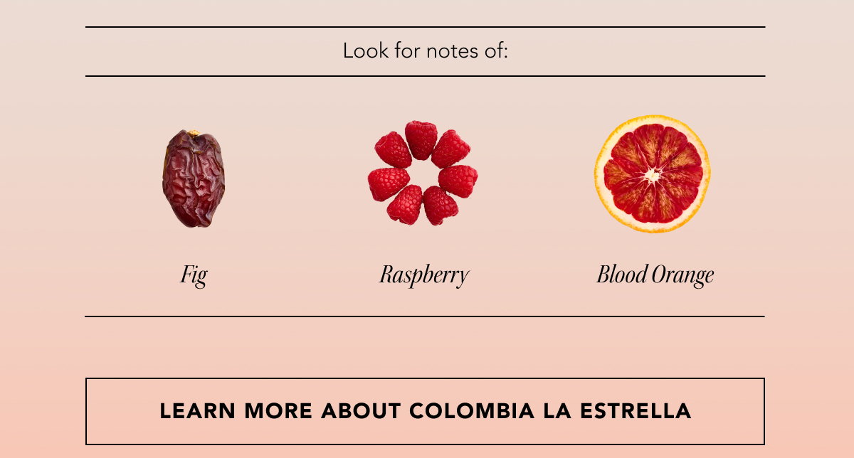 Look for notes of: Fig, Raspberry, Blood Orange | LEARN MORE ABOUT COLOMBIA LA ESTRELLA