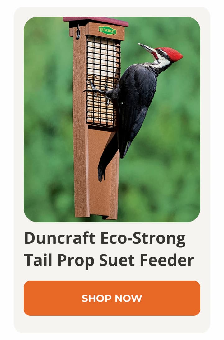Duncraft Eco-Strong