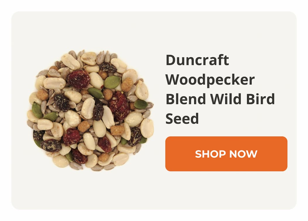 Duncraft Woodpecker Blend Wild Bird Seed
