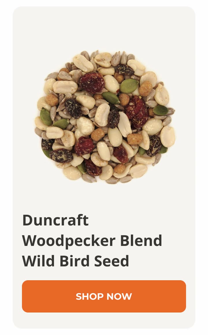 Duncraft Woodpecker Blend Wild Bird Seed