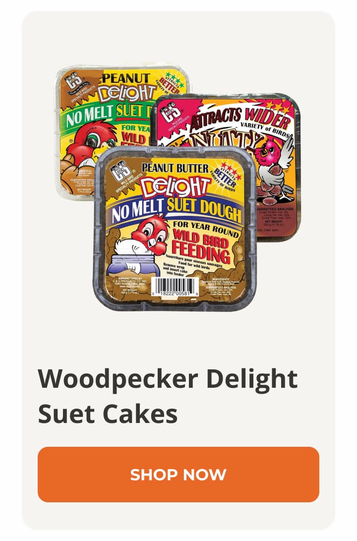 Woodpecker Delight Suet Cakes