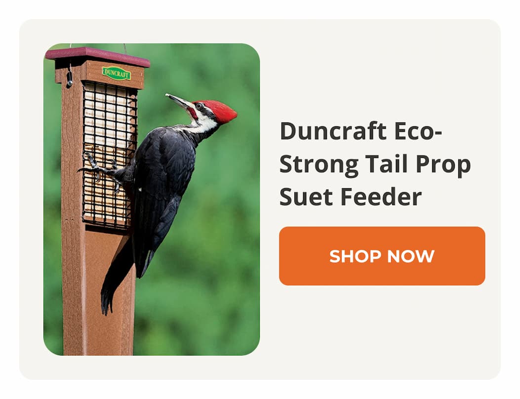 Duncraft Eco-Strong