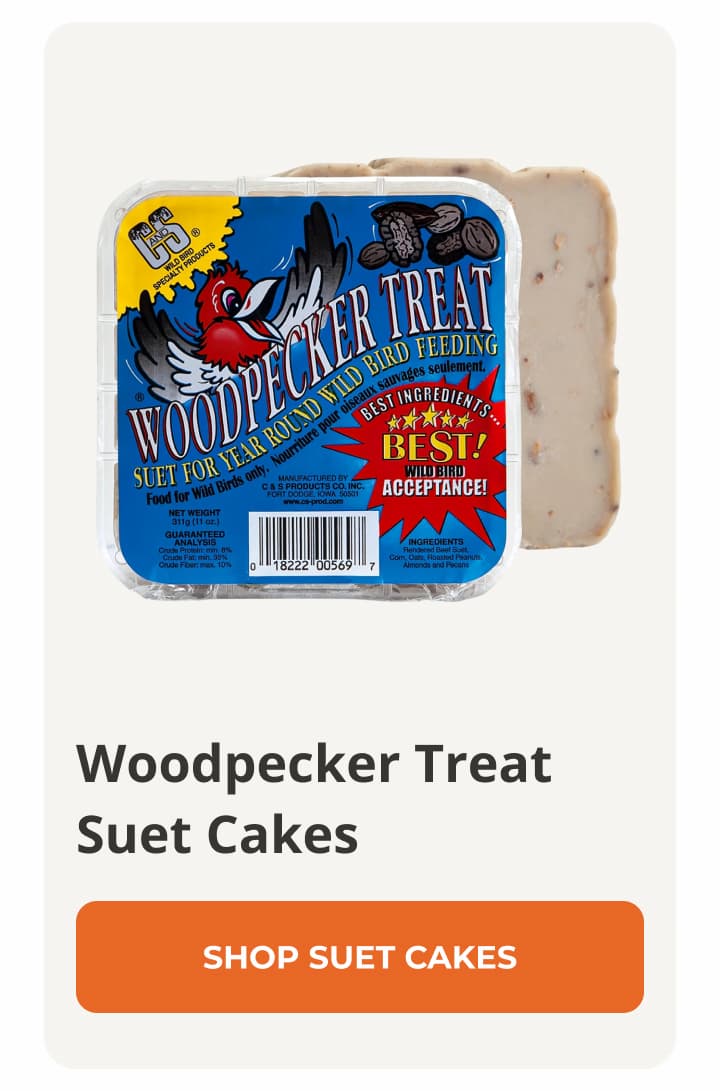 Woodpecker Treat Suet Cakes