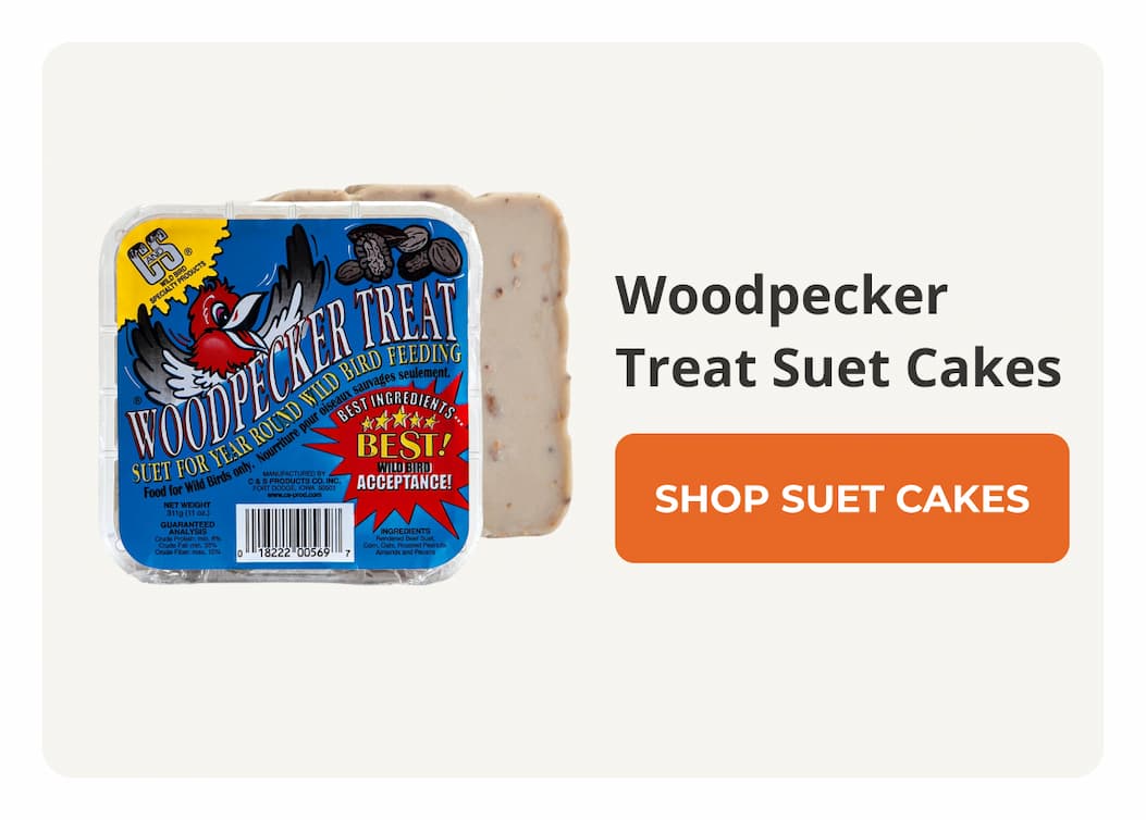 Woodpecker Treat Suet Cakes