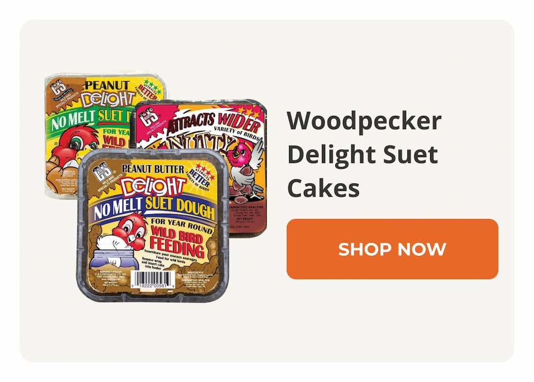 Woodpecker Delight Suet Cakes