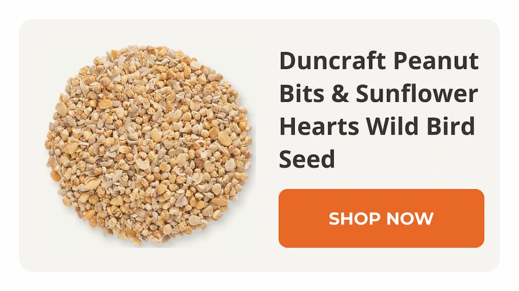 Duncraft Peanut Bits