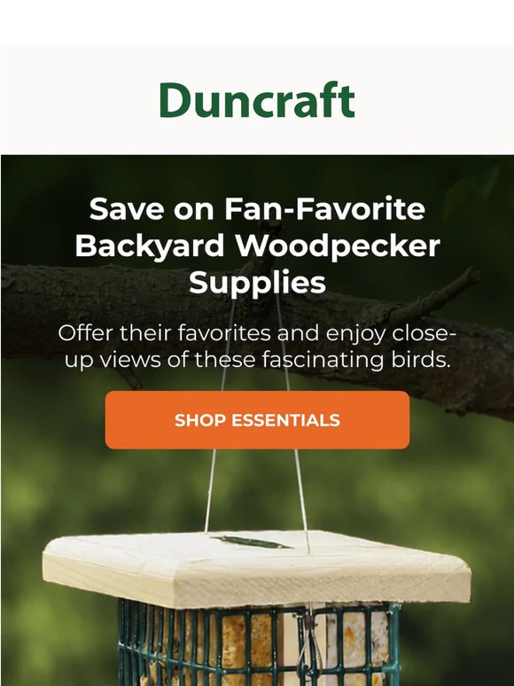 Fan Favorites for Backyard Woodpeckers