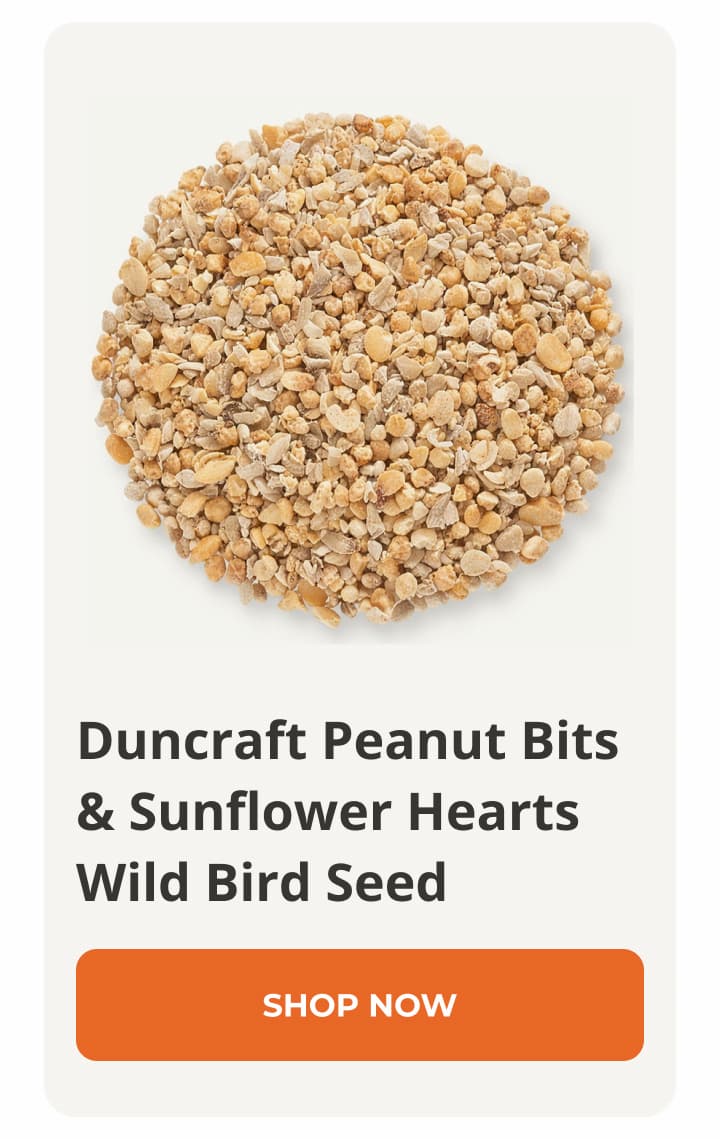 Duncraft Peanut Bits