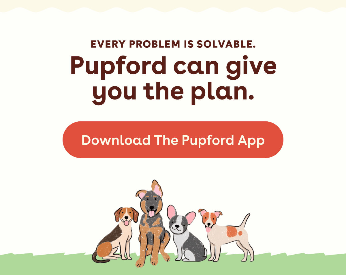 Download the app