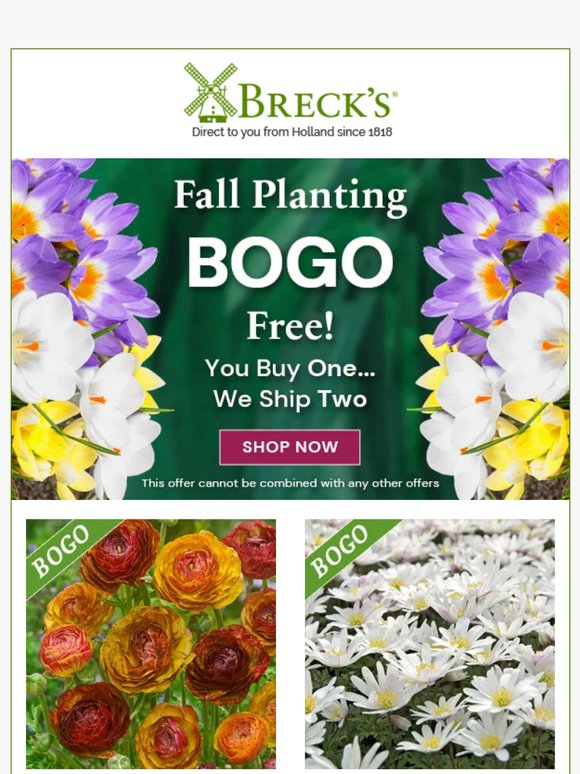 Get 2 for the Price of 1 on Select Garden Items!