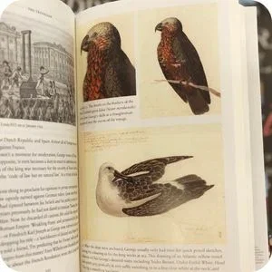 Open book with illustrations of birds.