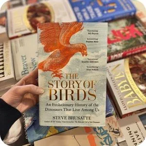 "The Story of Birds" book.
