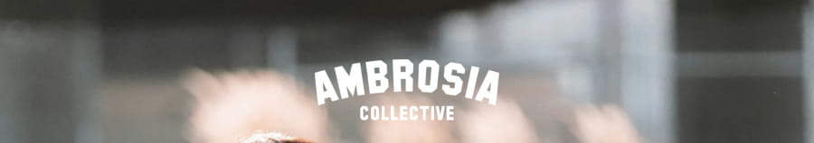 AMBROSIA COLLECTIVE 