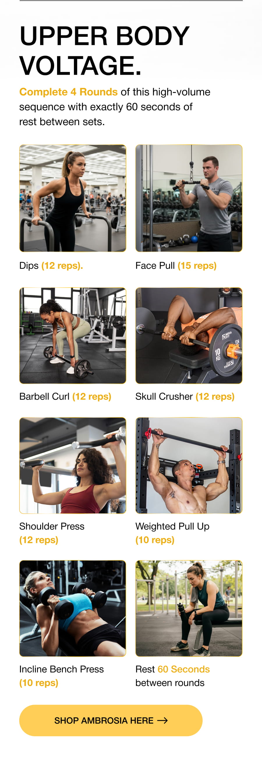 UPPER BODY VOLTAGE. Complete 4 Rounds of this high-volume sequence with exactly 60 seconds of rest between sets. Dips (12 reps). Face Pull (15 reps) Barbell Curl (12 reps) Skull Crusher (12 reps) Shoulder Press (12 reps) Weighted Pull Up (10 reps) Incline Bench Press (10 reps) Rest 60 seconds between rounds SHOP AMBROSIA here