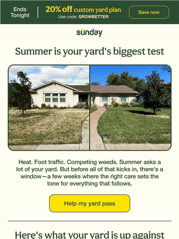 Summer Is Coming for Your Yard