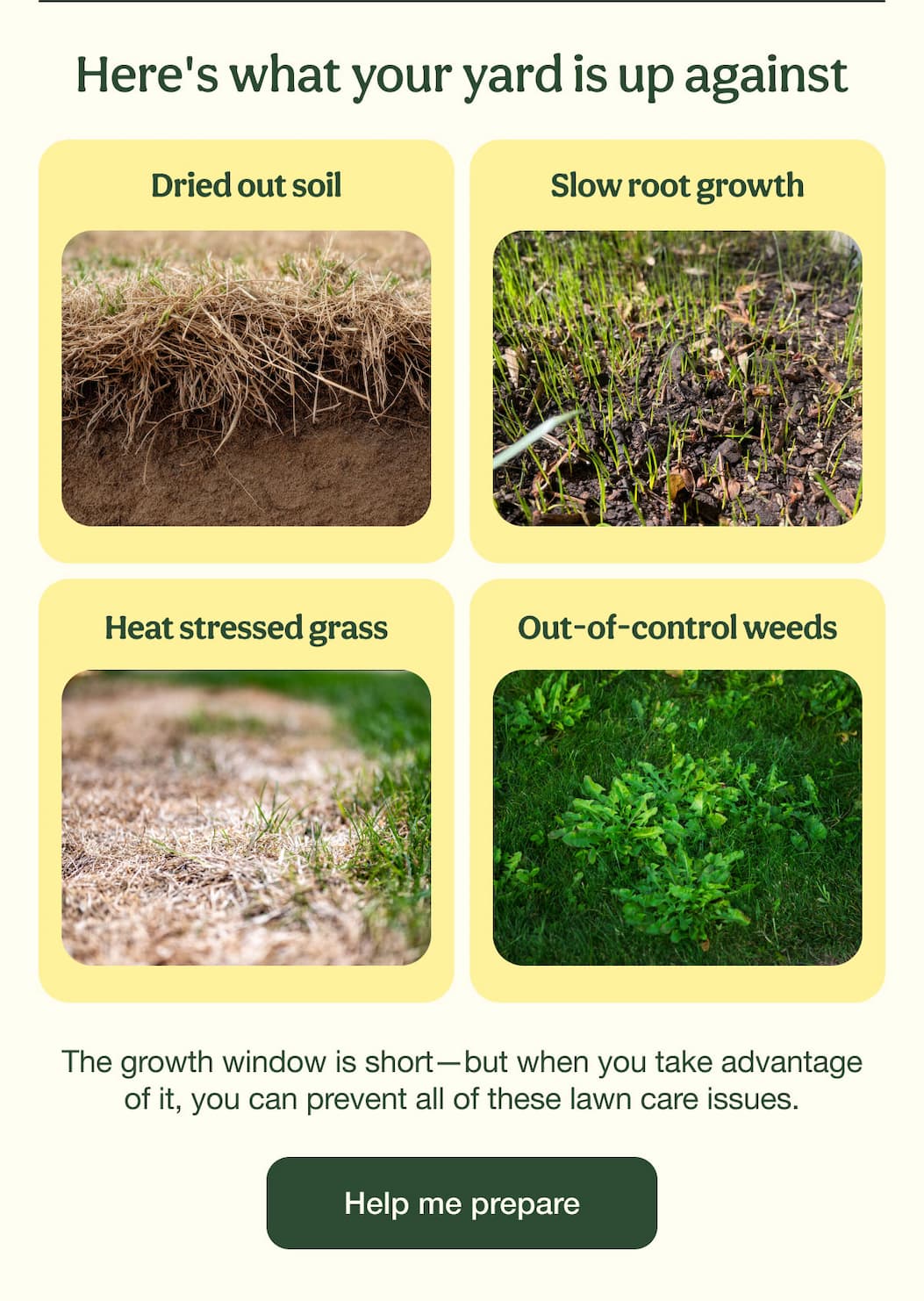 Here's what your yard is up against | Help me prepare