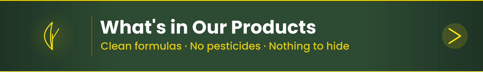 Learn about the ingredients behind Sunday products and what goes into your yard care.