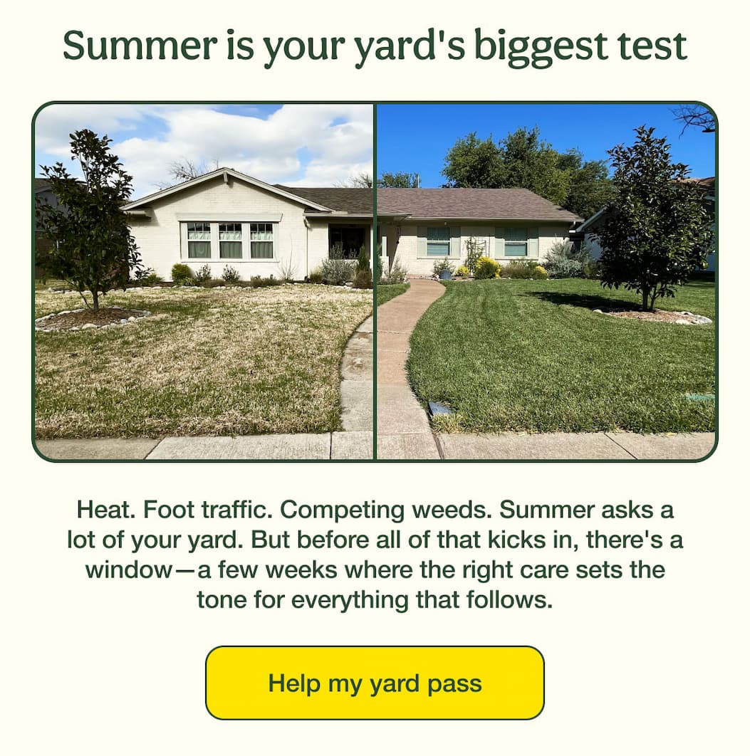 Summer is your yard's biggest test | Help my yard pass