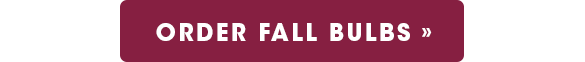 Shop Fall Bulbs
