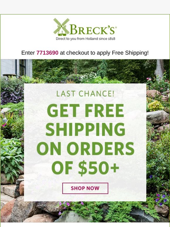 Free shipping ends in hours, so order now!