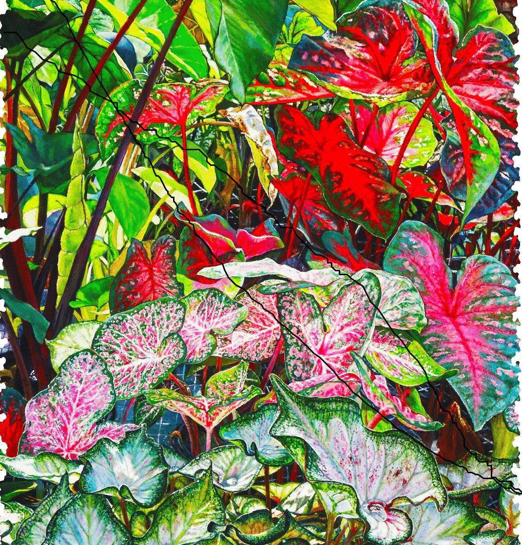 Colorful Caladiums wooden jigsaw puzzle