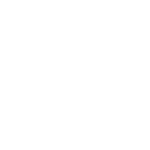 Nautilus Puzzles