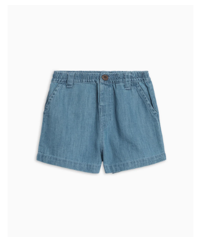 Shop the Luke Chambray Shorts