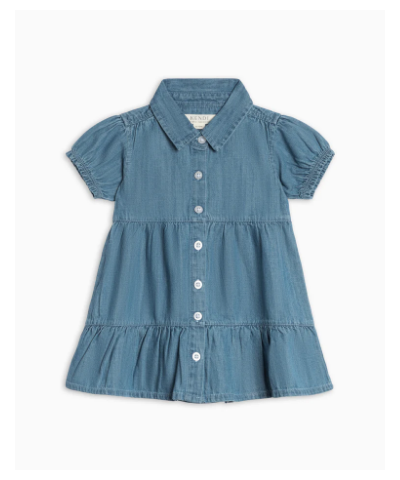 Shop the Milly Chambray Shirt Dress