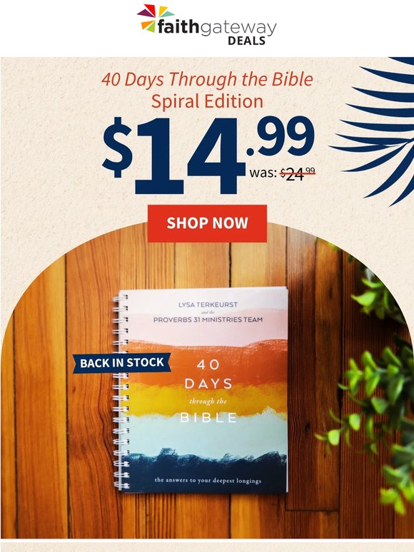 back in stock! 🎉 40 Days through the Bible Custom Edition