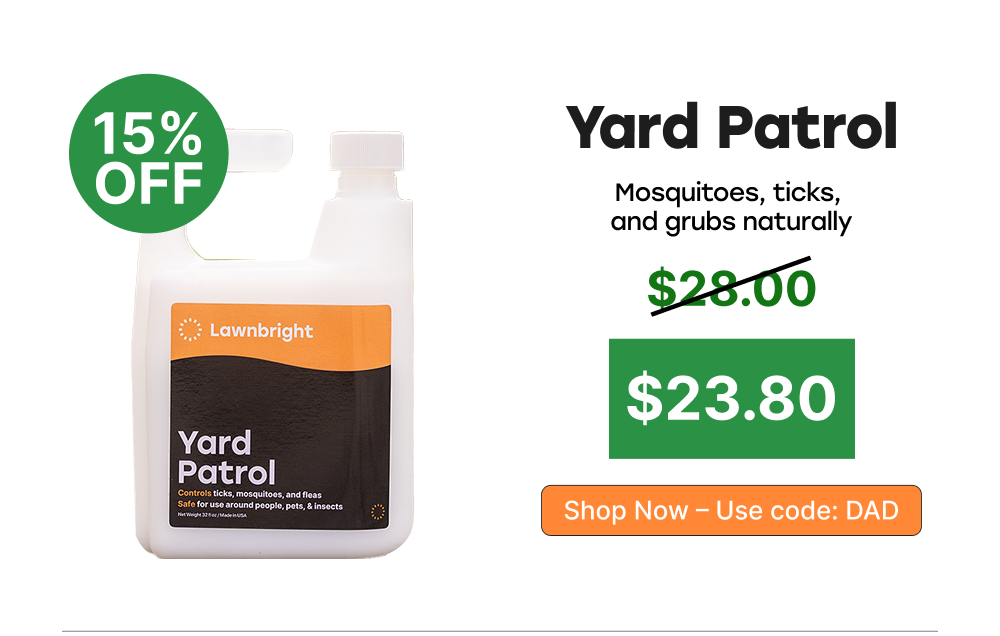 Yard Patrol
