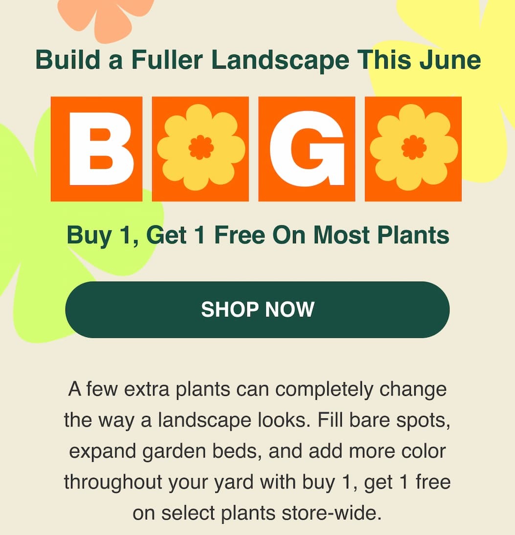Buy 1, Get 1 Free on most items store-wide.