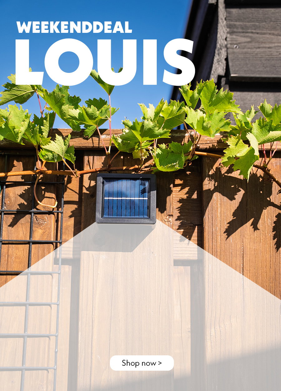 A banner showing a front view of the Louis on a wooden fence, featuring white text, a shape and a ‘Shop now’ button.